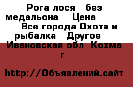 Рога лося , без медальона. › Цена ­ 15 000 - Все города Охота и рыбалка » Другое   . Ивановская обл.,Кохма г.